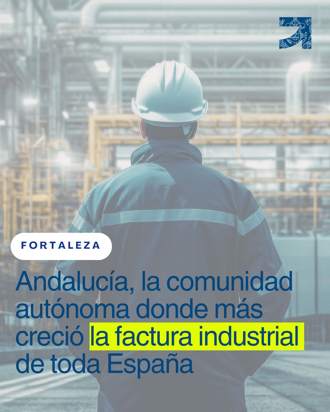 crecimiento empresarial toda espana es andalucia