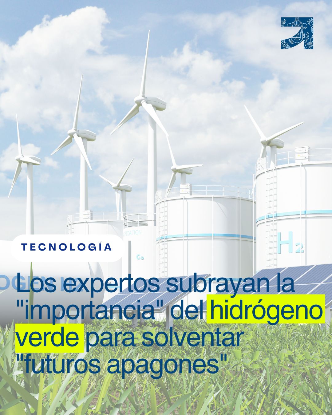experto hidrogeno verde