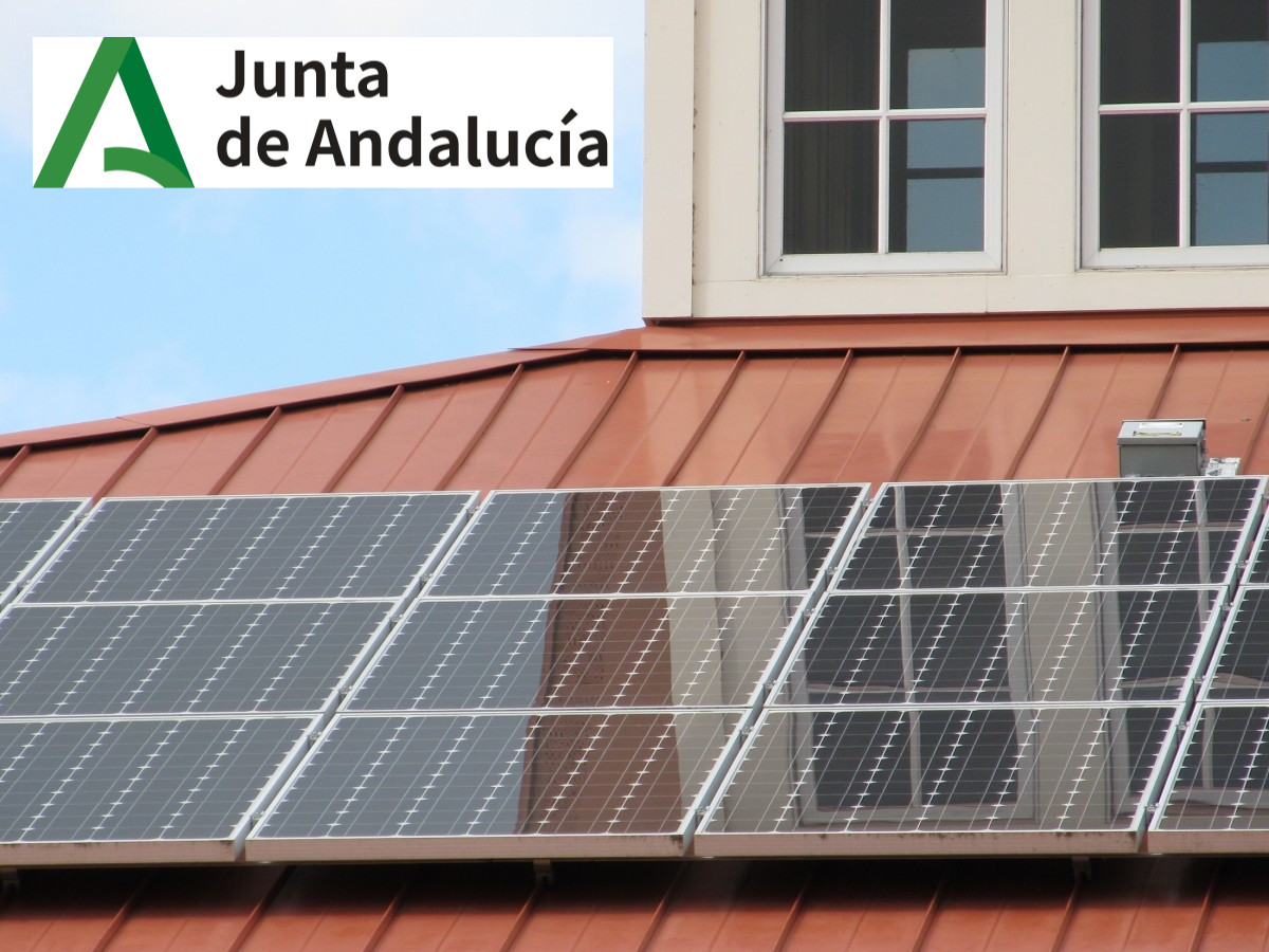 solar_panel_array_roof_building_power_sun_electricity_energy_environment-1028827.jpg
